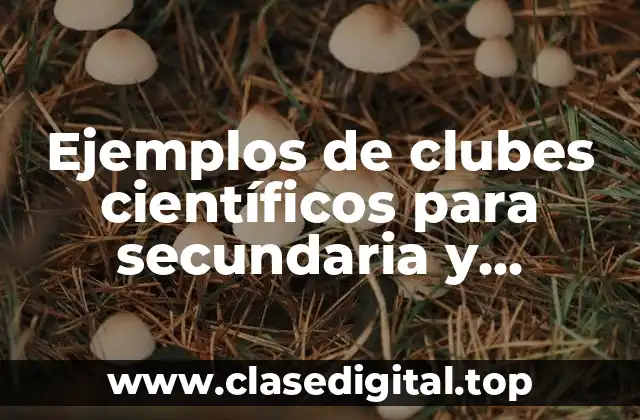 Ejemplos de clubes científicos para secundaria y Significado