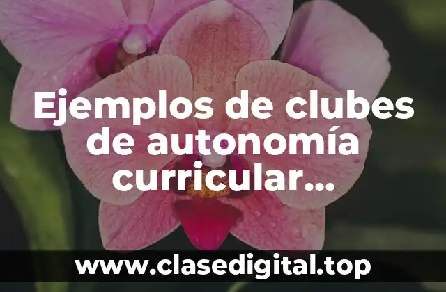 Ejemplos de clubes de autonomía curricular secundaria