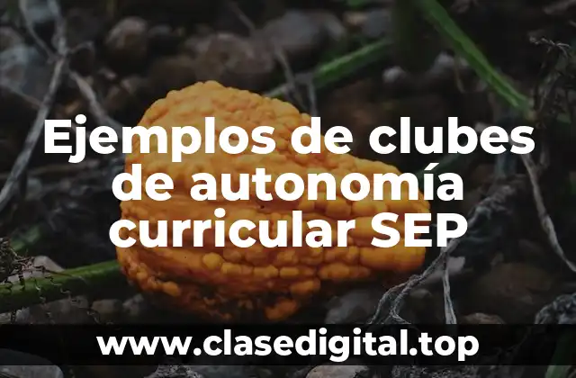 Ejemplos de clubes de autonomía curricular SEP