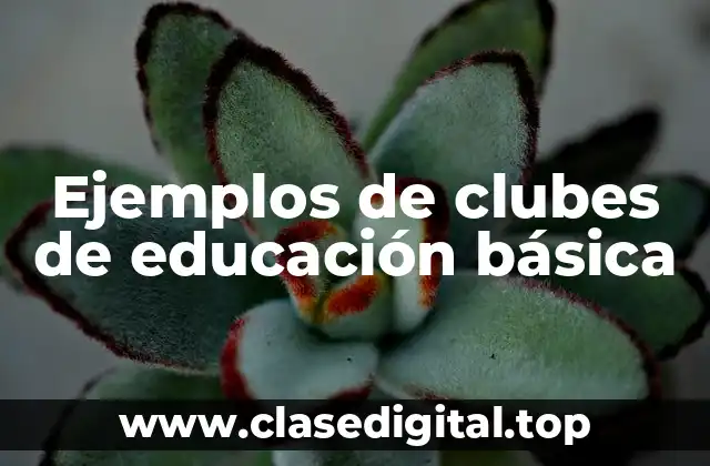 Ejemplos de clubes de educación básica