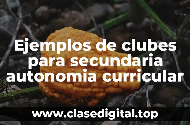Ejemplos de clubes para secundaria autonomía curricular