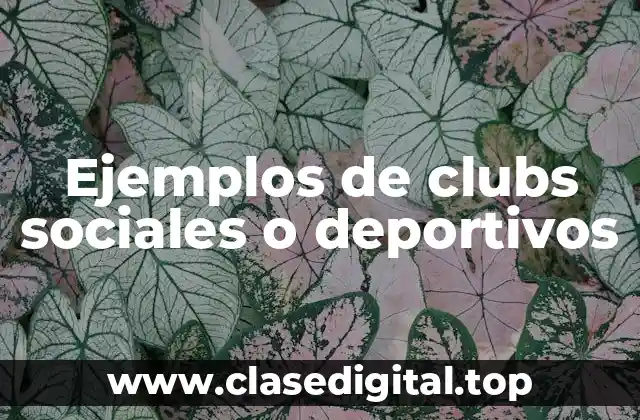 Ejemplos de clubs sociales o deportivos