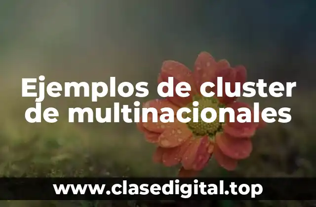 Ejemplos de cluster de multinacionales