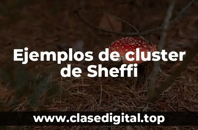 Ejemplos de cluster de Sheffi