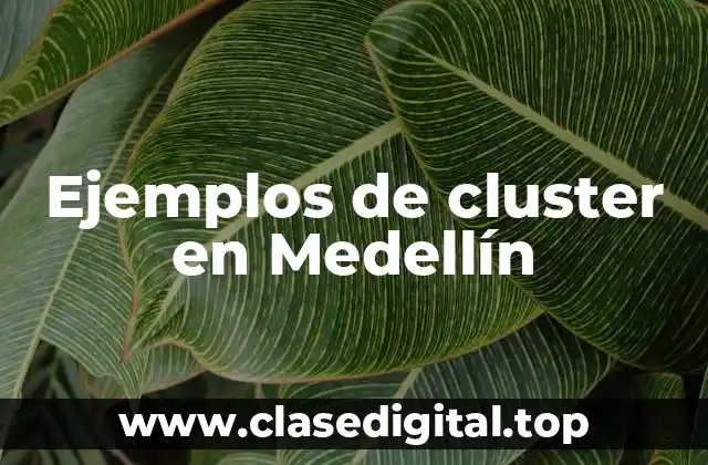 Ejemplos de cluster en Medellín
