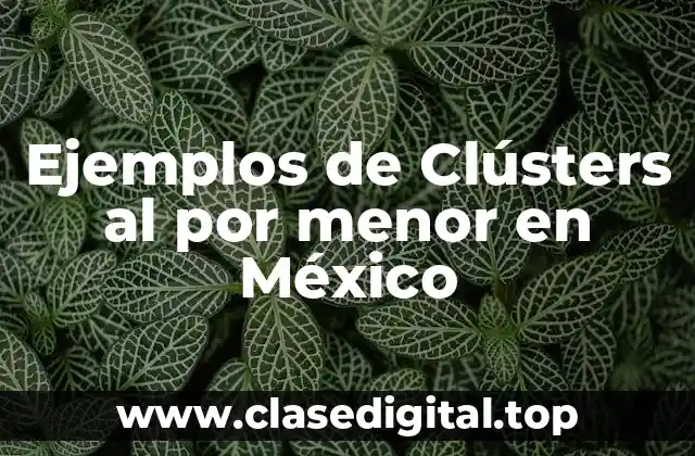 Ejemplos de Clústers al por menor en México