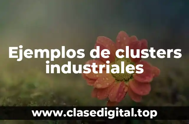 Ejemplos de clusters industriales