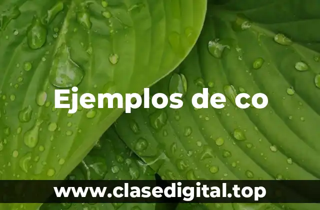 Ejemplos de co