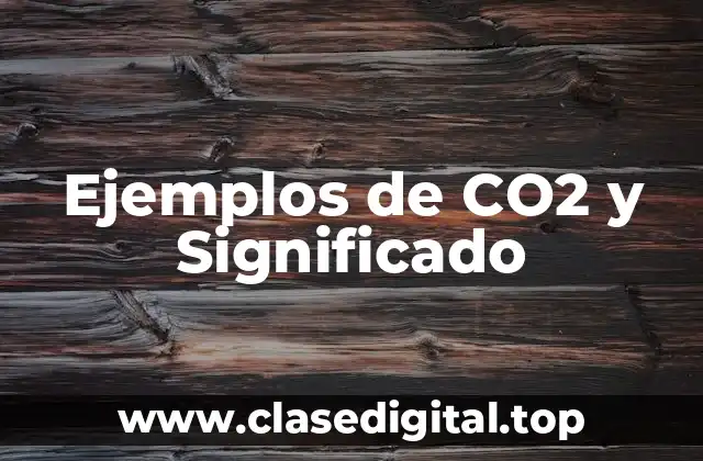 Ejemplos de CO2 y Significado