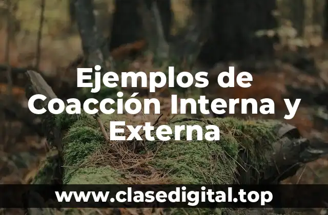 Ejemplos de Coacción Interna y Externa