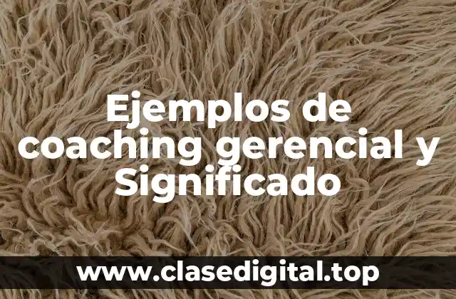 Ejemplos de coaching gerencial y Significado