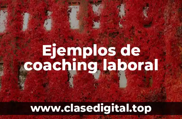Ejemplos de coaching laboral