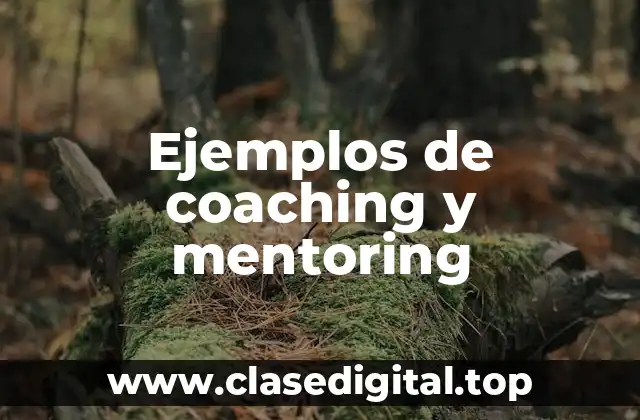 Ejemplos de coaching y mentoring