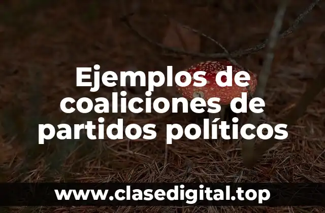 Ejemplos de coaliciones de partidos políticos