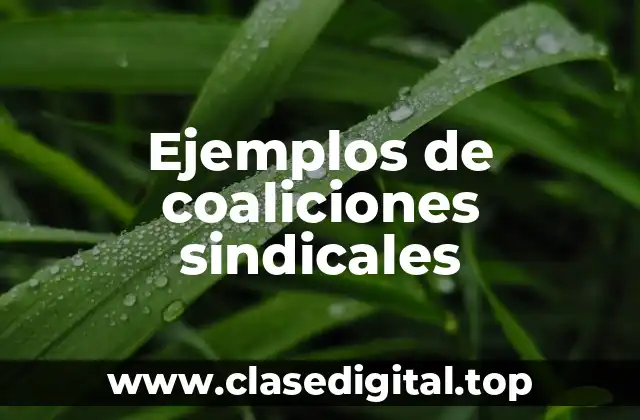 Ejemplos de coaliciones sindicales