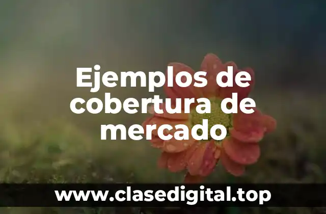 Ejemplos de cobertura de mercado