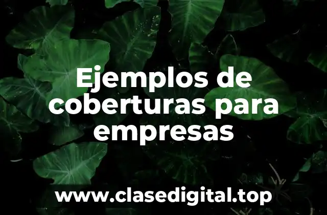 Ejemplos de coberturas para empresas