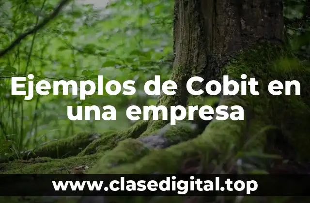 Ejemplos de Cobit en una empresa