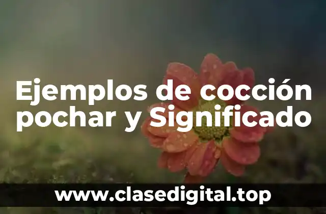 Ejemplos de cocción pochar