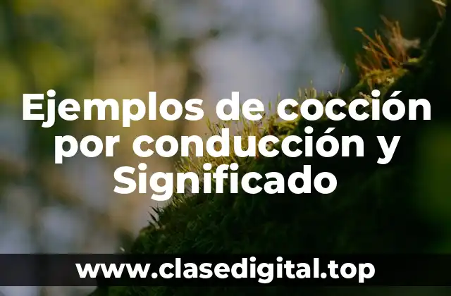 Ejemplos de cocción por conducción y Significado