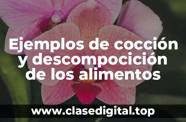 Ejemplos de cocción y descompocición de los alimentos
