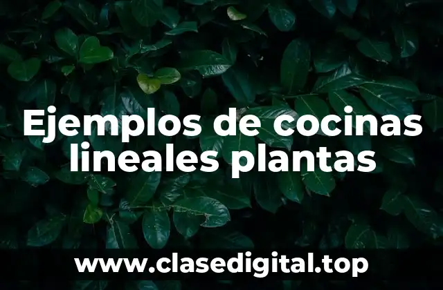 Ejemplos de cocinas lineales plantas