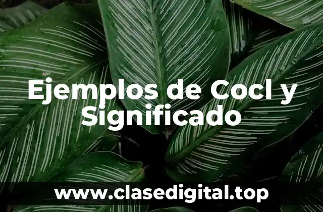 Ejemplos de Cocl y Significado