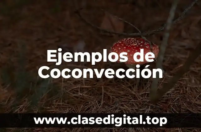 Ejemplos de Coconvección