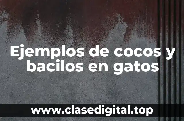 Ejemplos de cocos y bacilos en gatos
