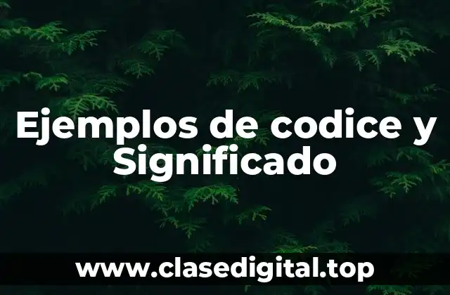 Ejemplos de codice y Significado