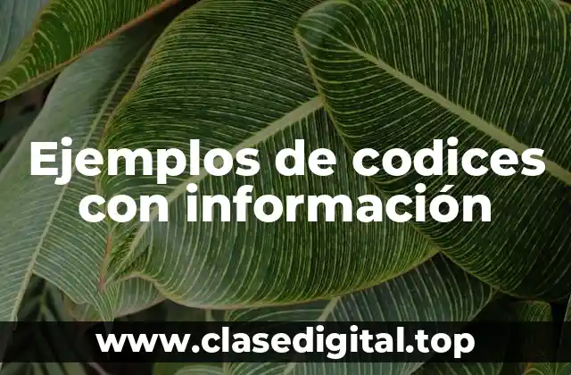 Ejemplos de codices con información