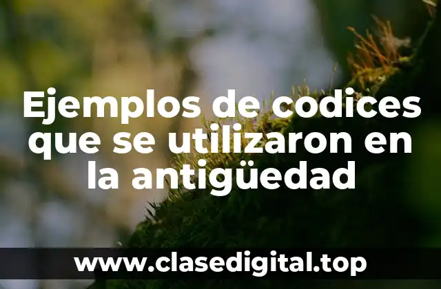 Ejemplos de codices que se utilizaron en la antigüedad