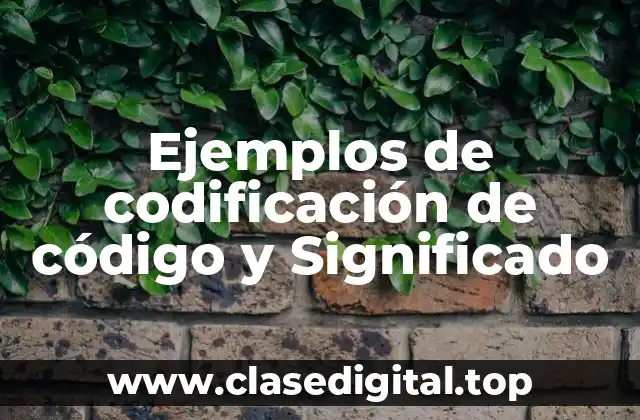 Ejemplos de codificación de código y Significado