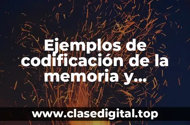 Ejemplos de codificación de la memoria y Significado