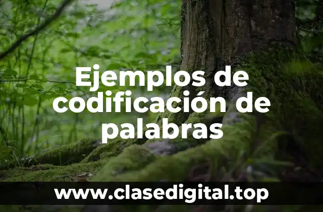 Ejemplos de codificación de palabras