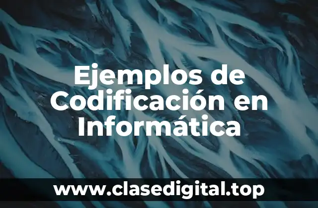 Ejemplos de Codificación en Informática