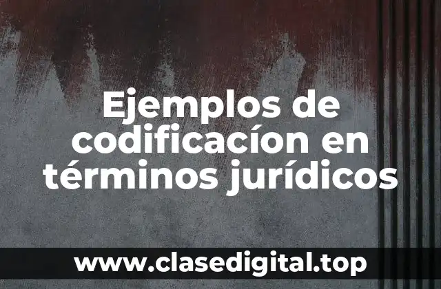 Ejemplos de codificacíon en términos jurídicos