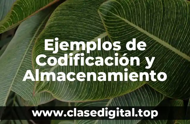 Ejemplos de Codificación y Almacenamiento