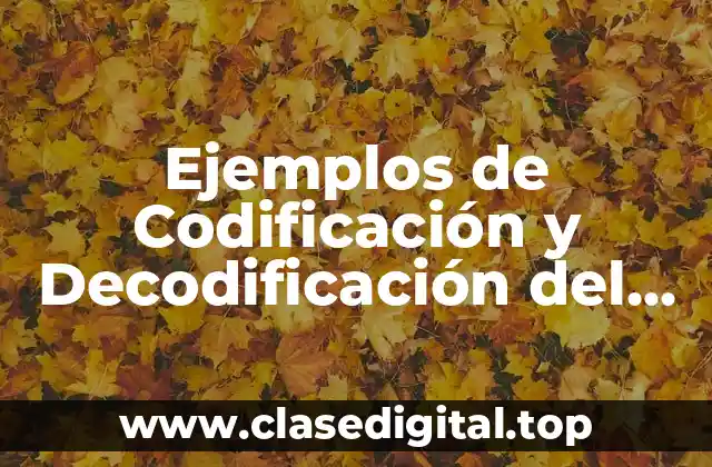 Ejemplos de Codificación y Decodificación del Lenguaje