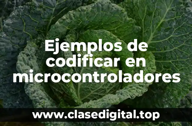 Ejemplos de codificar en microcontroladores