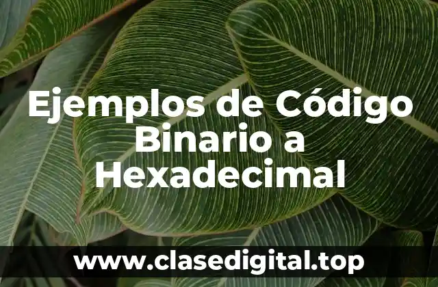 Ejemplos de Código Binario a Hexadecimal