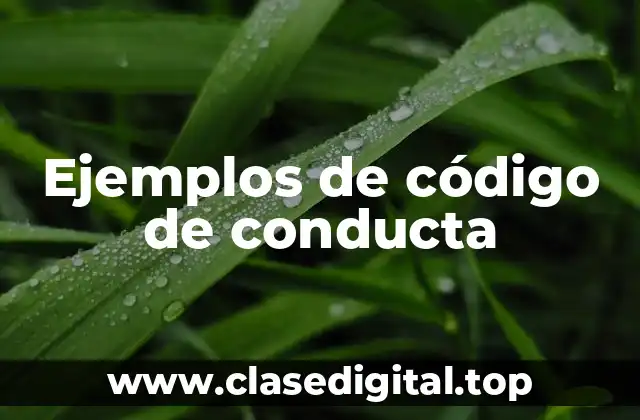 Ejemplos de código de conducta