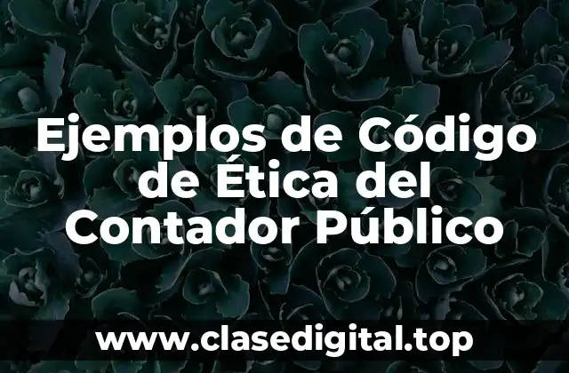 Ejemplos de Código de Ética del Contador Público