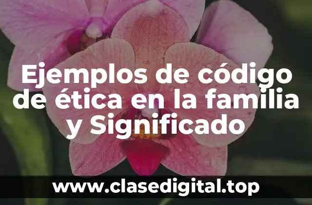 Ejemplos de código de ética en la familia y Significado