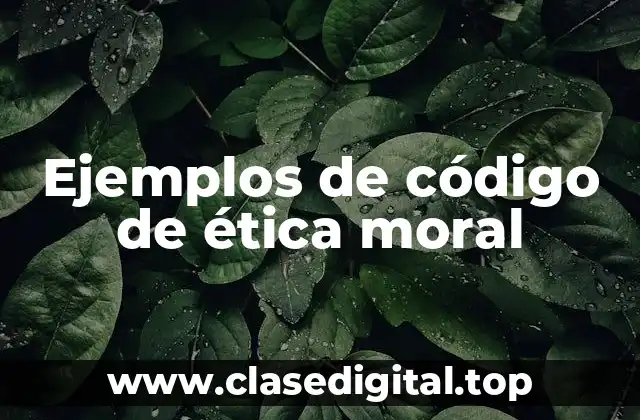 Ejemplos de código de ética moral