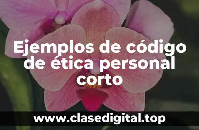 Ejemplos de código de ética personal corto