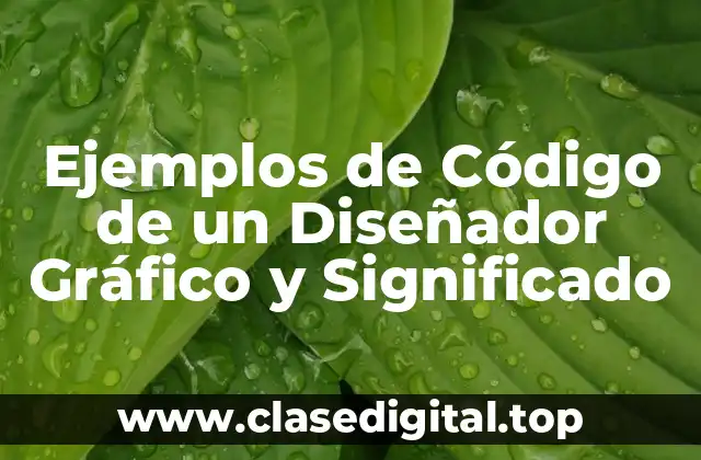 Ejemplos de Código de un Diseñador Gráfico y Significado