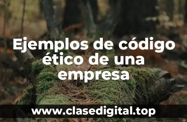 Ejemplos de código ético de una empresa