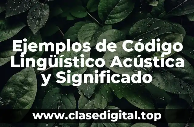 Ejemplos de Código Lingüístico Acústica y Significado