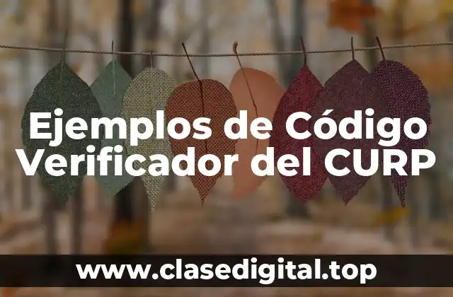 Ejemplos de Código Verificador del CURP